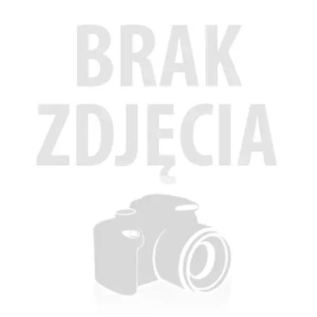 DraccusModels – Zestaw żywicznych kół do parowozu Pu29 oraz tendra 32D29 – skala 1:25